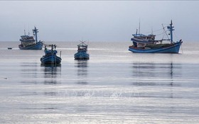 Kiên Giang ngăn chặn tàu cá khai thác hải sản bất hợp pháp