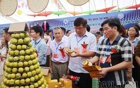 Hội chợ chuyên biệt đầu tiên cho vùng đồng bào dân tộc thiểu số và miền núi Lào Cai