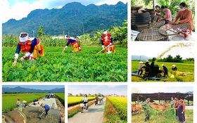 Bắc Giang: Đẩy mạnh thực hiện Chương trình mục tiêu quốc gia