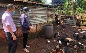 Tín dụng chính sách góp phần giảm nghèo bền vững tại Đắk Lắk