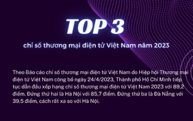 Top 3 chỉ số thương mại điện tử Việt Nam năm 2023