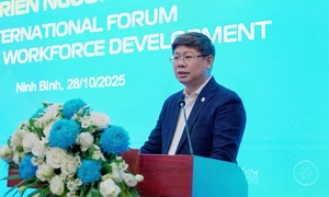 Việt Nam tăng cường hợp tác quốc tế phát triển nhân lực số chất lượng cao