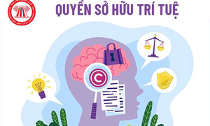 Nghị quyết 71-NQ/TW - bước ngoặt chính sách giáo dục với tầm nhìn đột phá