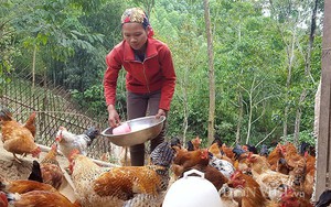 Ứng dụng khoa học, công nghệ và đổi mới sáng tạo nâng tầm các sản phẩm chủ lực của Lạng Sơn