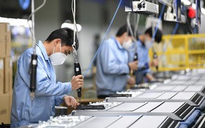 Tuyển chọn tổ chức, cá nhân chủ trì thực hiện nhiệm vụ KH&CN cấp quốc gia đặt hàng thực hiện từ năm 2026 (đợt 2) thuộc Chương trình quốc gia hỗ trợ doanh nghiệp nâng cao năng suất và chất lượng sản phẩm, hàng hóa giai đoạn 2021-2030