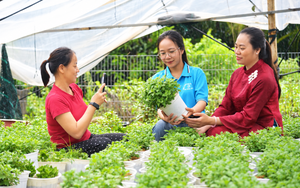 Quảng Ngãi: Mở rộng cơ hội khởi nghiệp từ nền tảng số