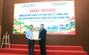 Hưng Yên mở rộng chỉ dẫn địa lý cho sản phẩm nhãn lồng