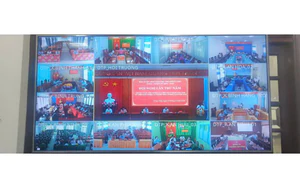 Đồng Tháp kết nối 103 điểm cầu hội nghị trực tuyến bằng IPv6