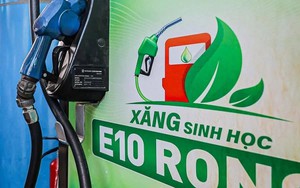 Bộ KH&CN tăng cường kiểm soát chất lượng xăng E10 từ hành lang kỹ thuật đến giám sát thị trường