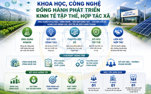 Lâm Đồng hướng tới hình thành mô hình hợp tác xã đổi mới sáng tạo