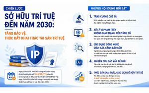 Siết chế tài, tăng trách nhiệm trong xử lý xâm phạm quyền sở hữu trí tuệ