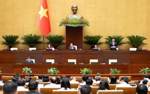 Toàn cảnh phiên họp