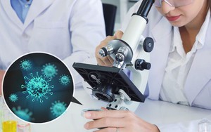 Phân loại bệnh truyền nhiễm theo phương pháp tính điểm