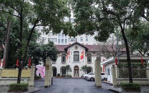 Bộ KH&CN là đầu mối quản lý, điều phối Mạng lưới chuyên gia AI Việt Nam toàn cầu