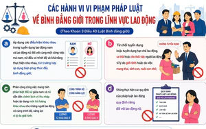 Các hành vi vi phạm pháp luật về bình đẳng giới trong lĩnh vực lao động