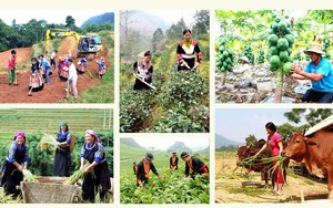 Đắk Lắk: Khoa học và công nghệ mở hướng sinh kế cho vùng đồng bào dân tộc thiểu số