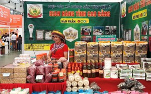 Khi thương hiệu trở thành tài sản của Cao Bằng