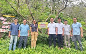 Kiểm tra 3 nhiệm vụ khoa học và công nghệ trong lĩnh vực nông nghiệp