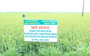 VietGAP 2026 yêu cầu truy xuất nông sản đến từng lô hàng