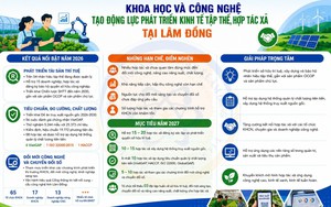 Hợp tác xã Lâm Đồng chuyển mình nhờ công nghệ, truy xuất nguồn gốc và chuyển đổi số