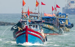 Nhiều hoạt động vì biển, đảo xanh tại huyện Côn Đảo