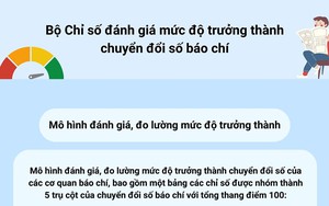 Bộ Chỉ số đánh giá mức độ trưởng thành chuyển đổi số báo chí