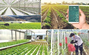 Việt Nam ưu tiên phát triển 70 công nghệ cao và 100 sản phẩm công nghệ cao