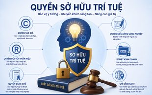 Quyền sở hữu trí tuệ là nguồn lực quan trọng của quốc gia