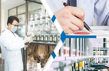 Thống kê số lượng đơn đăng ký và văn bằng được cấp  tháng 05 năm 2025