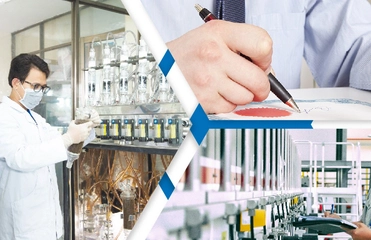 Thống kê số lượng đơn đăng ký và văn bằng được cấp  tháng 04 năm 2025