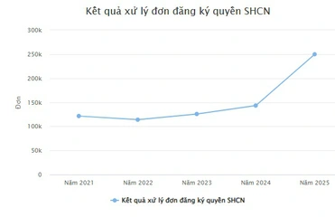 Số liệu nổi bật lĩnh vực sở hữu trí tuệ giai đoạn 2021 - 2025