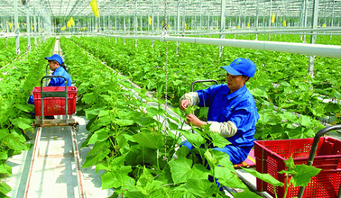 Thanh Hóa tăng tốc chuyển đổi số, mở rộng không gian phát triển