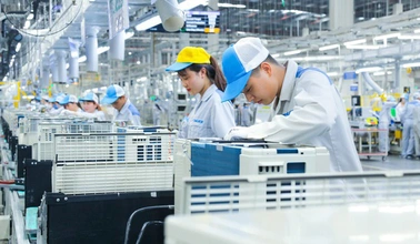 Thiết lập chuẩn mực mới cho chất lượng: Hành trình chuyển mình của doanh nghiệp Việt