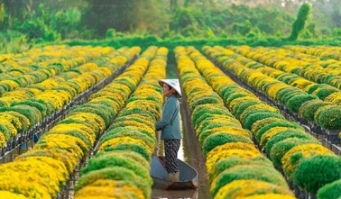 Tây Ninh thúc đẩy đổi mới sáng tạo, chuyển giao công nghệ ở nhiều lĩnh vực