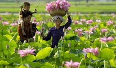 Đồng Tháp đón 3,2 triệu khách, bứt tốc nhờ chuyển đổi số