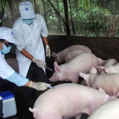 Thông tin về kết quả thực hiện nhiệm vụ KH&CN quỹ gen cấp quốc gia