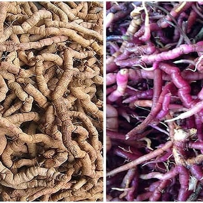 Thông tin về kết quả thực hiện nhiệm vụ KH&CN cấp quốc gia, mã số ĐTĐL.CN-45/22