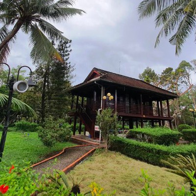 Thông tin kết quả thực hiện nhiệm vụ KH&CN cấp Quốc gia, mã số ĐTĐL.CN-124/21