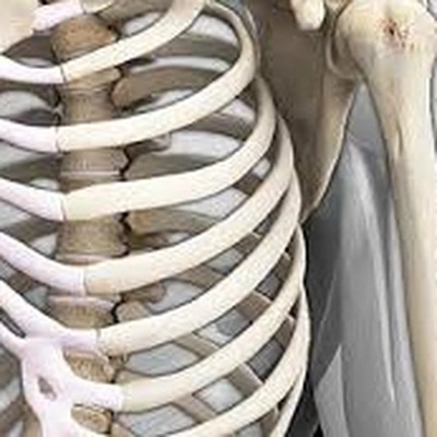 Thông tin nghiệm thu đề tài cấp quốc gia thuộc Chương trình 562, mã số ĐTĐL.CN-54/21