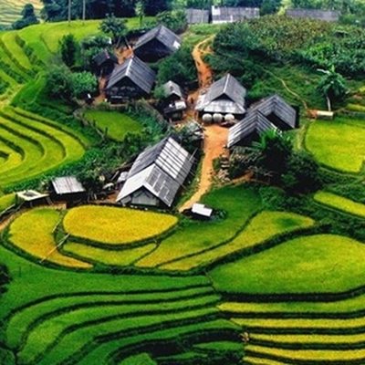 Kết quả thực hiện nhiệm vụ KH&CN cấp quốc gia, mã số ĐTĐL.CN-78/21