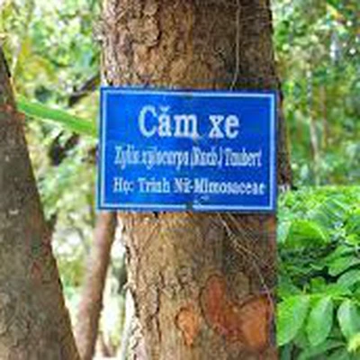 Kết quả thực hiện nhiệm vụ KH&CN cấp quốc gia, mã số NVQG-2023/ĐT.06