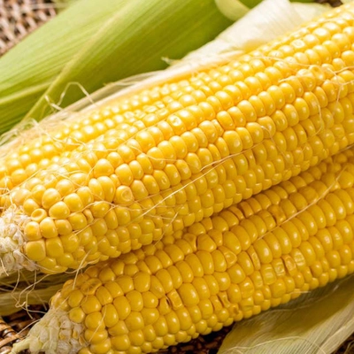 Kết quả thực hiện nhiệm vụ KH&CN cấp quốc gia, mã số NVQG-2021/ĐT.23