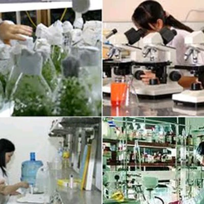 Thông báo tuyển chọn tổ chức và cá nhân chủ trì thực hiện nhiệm vụ KH&CN lần 2