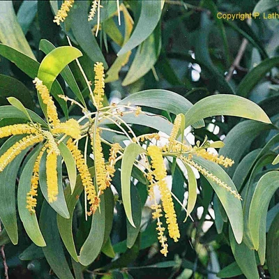 Thông tin kết quả thực hiện nhiệm vụ KH&CN cấp Quốc gia