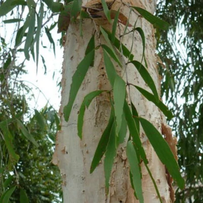 Thông tin kết quả thực hiện nhiệm vụ KH&CN cấp Quốc gia