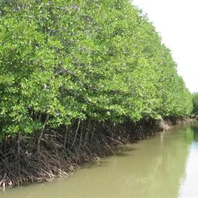 Thông tin kết quả thực hiện nhiệm vụ KH&CN cấp quốc gia