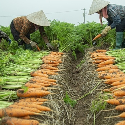 Nghiệm thu nhiệm vụ KH&CN cấp quốc gia mã số ĐTĐL.CN-88/21