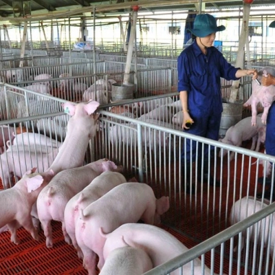 Kết quả thực hiện nhiệm vụ KH&CN độc lập cấp quốc gia, mã số ĐTĐL.CN-49/16 