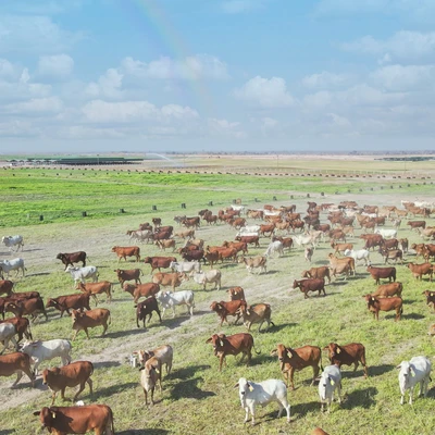 Kết quả thực hiện nhiệm vụ KH&CN độc lập cấp quốc gia, mã số ĐTĐL.CN-49/16 