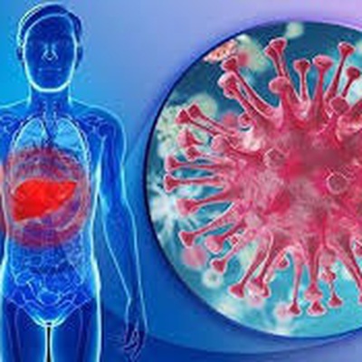 Kết quả thực hiện nhiệm vụ "Nghiên cứu chế tạo vắc xin vô hoạt nhũ dầu đa giá phòng hội chứng giảm đẻ, bệnh viêm gan và rụt mỏ ở thủy cầm"